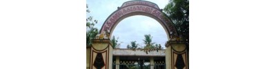 திருவாமூர்